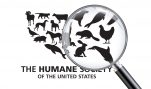 Where’s HSUS on the Ballot this Year?