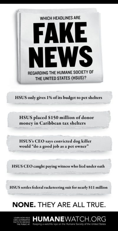 Shareable Image Thumbnail