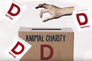 NEW AD: Humane Society of the U.S. Gets a “D”