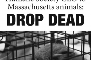 Money-Grubbing “Humane Society” Closing Animal Care Centers: Sources