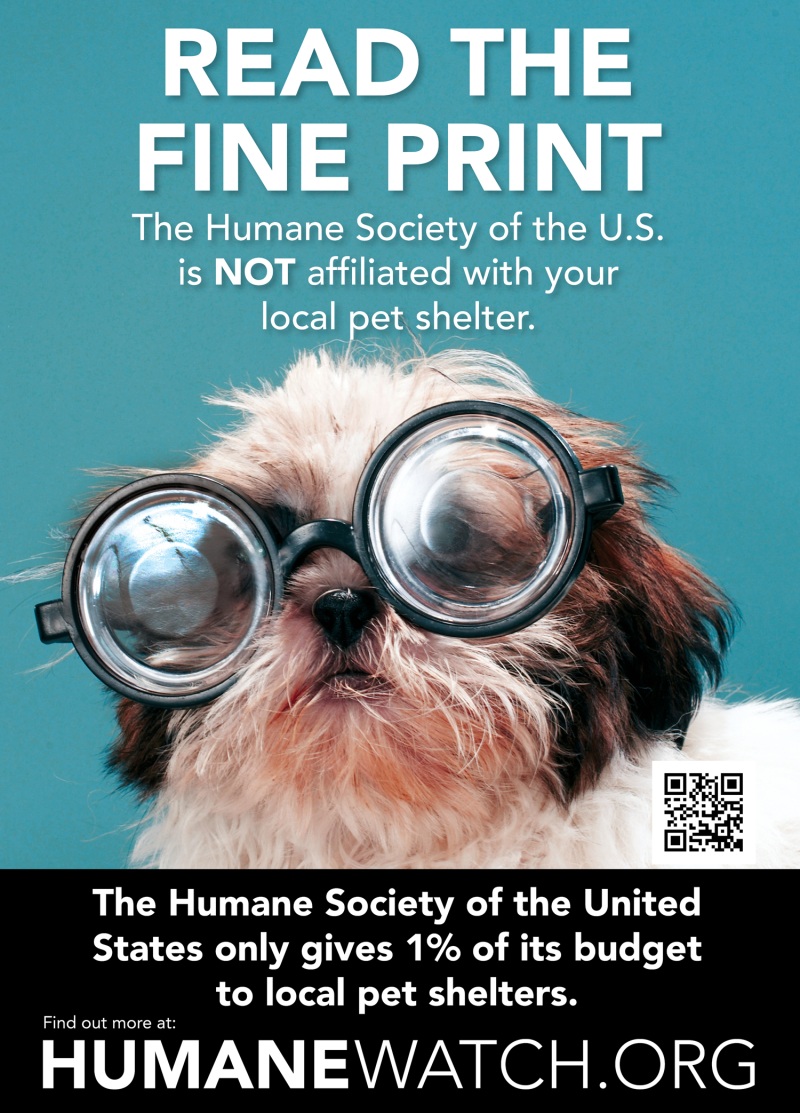 org warns hsus donors: a tiny fraction of contributions go to